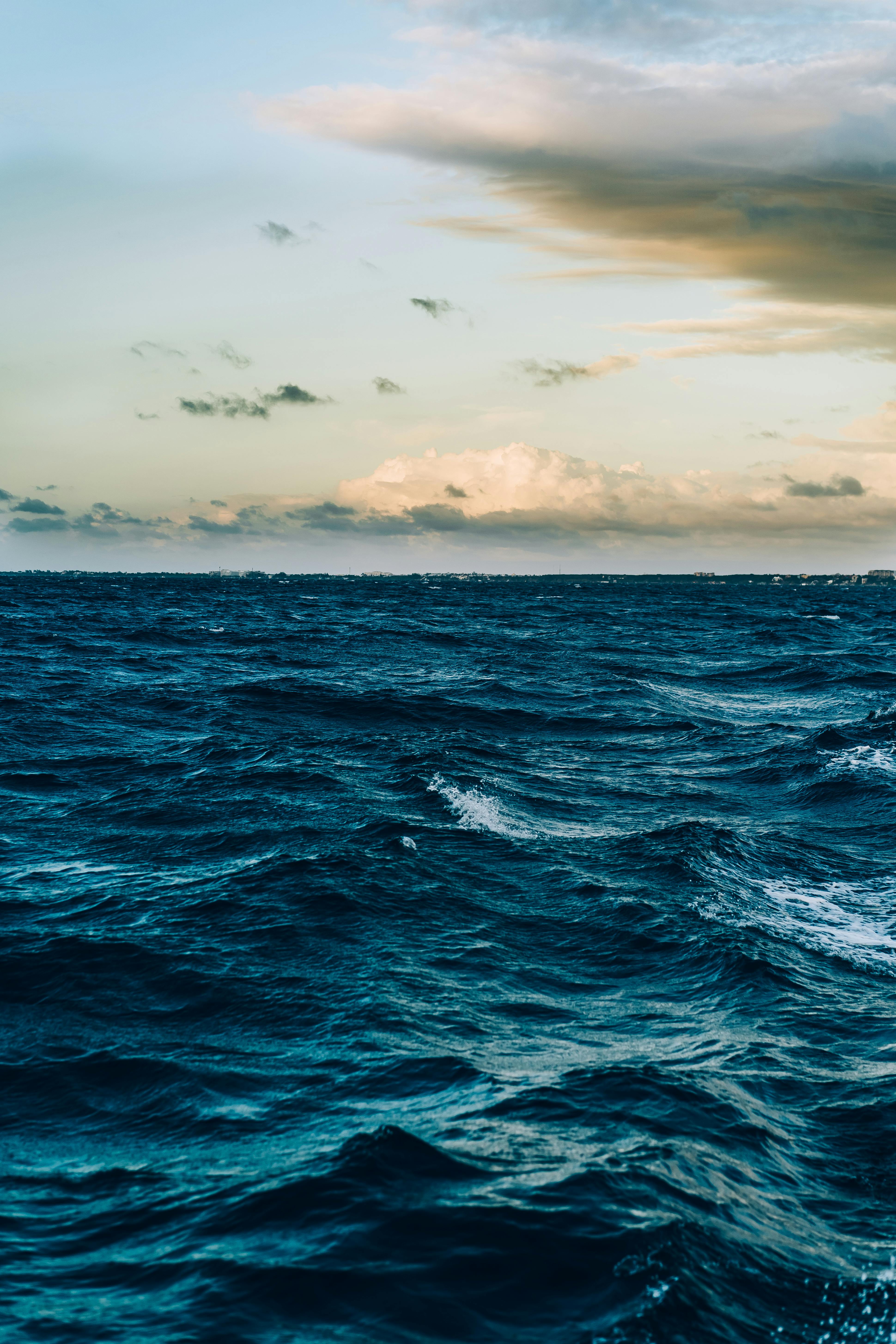 Ocean View